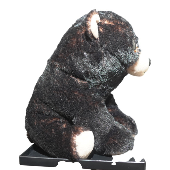 TY Medium Classic Plush KODI Kodiak Black Bear Medium 10" NEW Stuffed Animal Toy - Picture 11 of 16